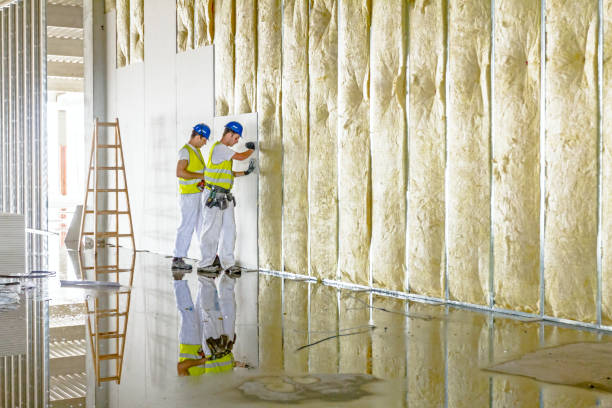 Types of Insulation We Offer in Moody, TX